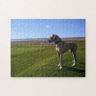 Great Dane Hund Puzzle