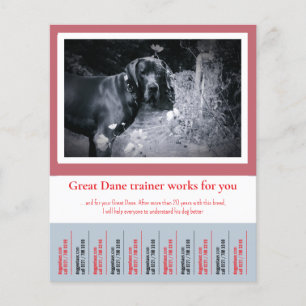 Great Dane Hundetrainer Flyer