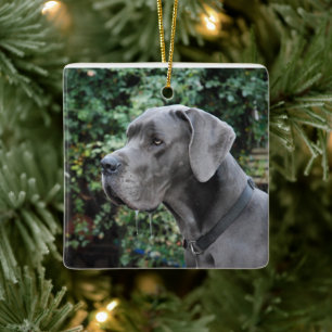 Great Dane Images Keramikornament
