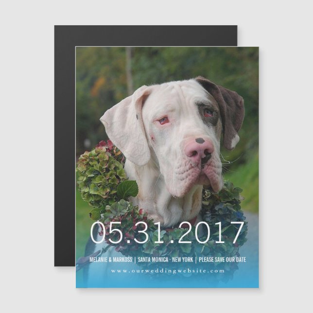 Great Dane Invite Magneteinladung (Vorne/Hinten)
