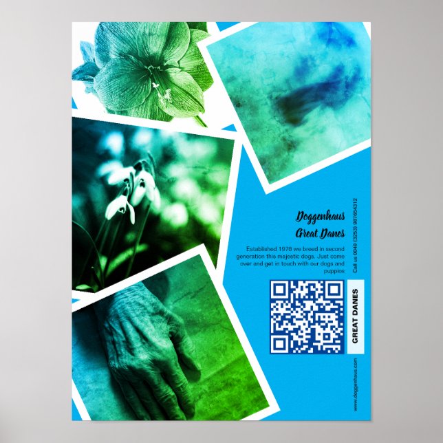 Great Dane Kennel Werbeaktion Poster (Vorne)