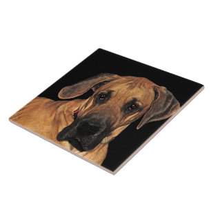 Great Dane Keramik Tile Fliese