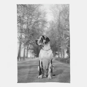 Great Dane Kitchen Handtücher