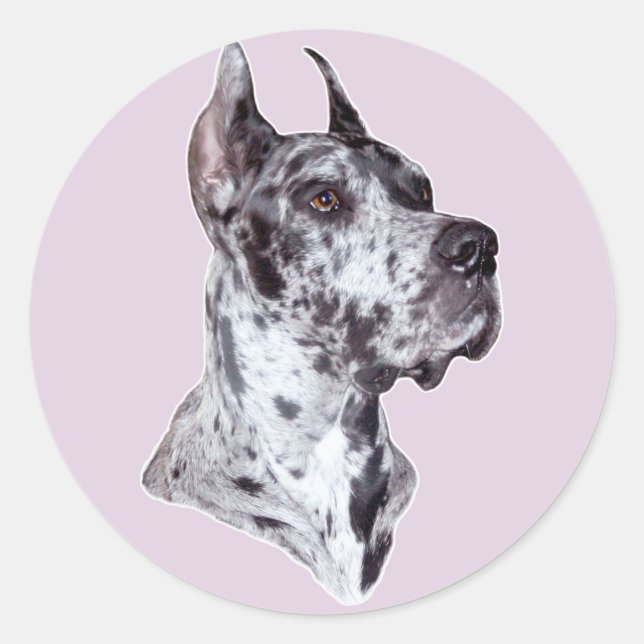 Great Dane Merle Croppe Runder Aufkleber (Vorderseite)