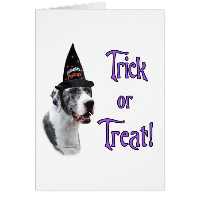 Great Dane (Merle) Trick (Vorne)