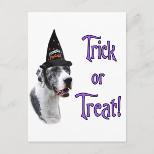 Great Dane (Merle) Trick Postkarte