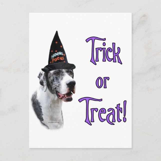 Great Dane (Merle) Trick Postkarte (Vorderseite)