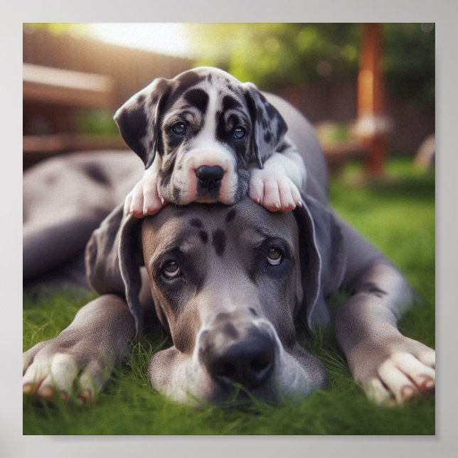 Great Dane Mom und ihr Welpe Poster (Vorne)