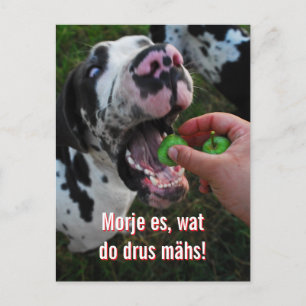 Great Dane Motto Motivation Postkarte