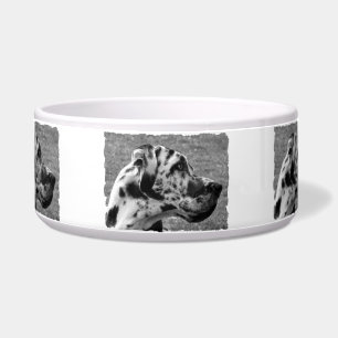 GREAT DANE NAPF