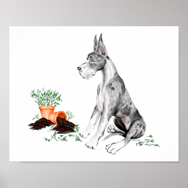 Great Dane Naughty Pup MerleB Poster (Vorne)