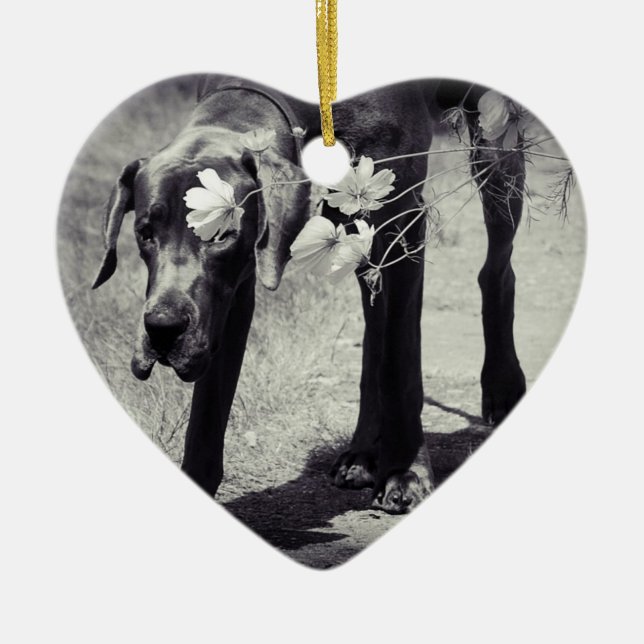 Great Dane Ornaments Photo Gift Keramikornament (Vorne)