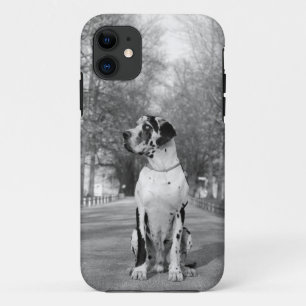 Great Dane Persönliche Fotografie-Hülle Case-Mate iPhone Hülle