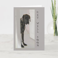 Great Dane Pet Hunde Humor wird bald gut