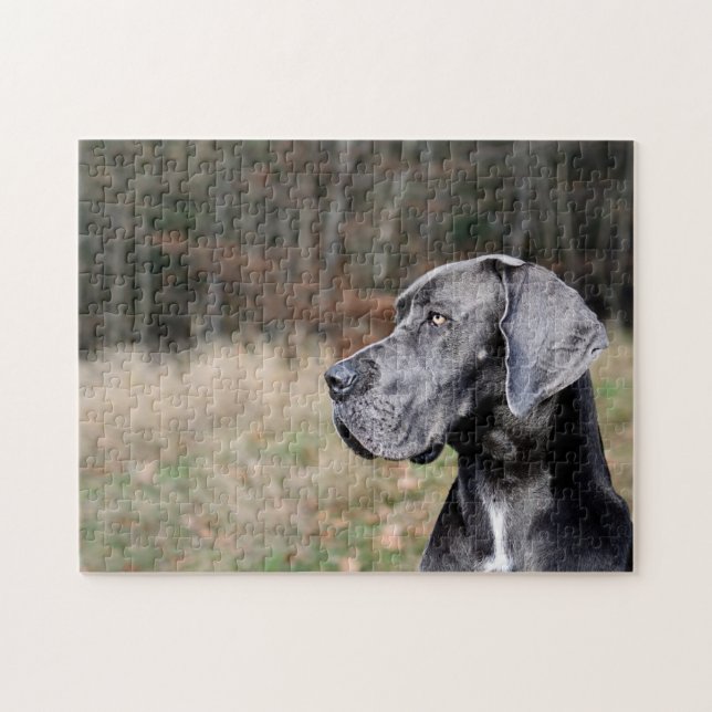 Great Dane Portrait Puzzle (Horizontal)