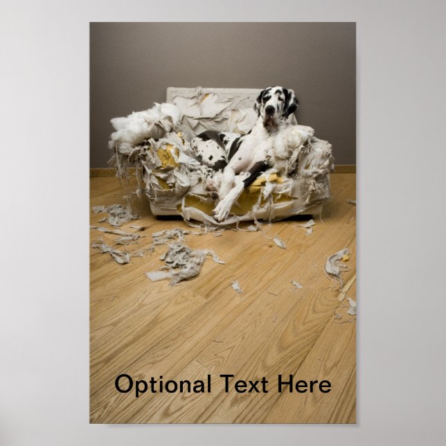 Great Dane Poster (Vorne)