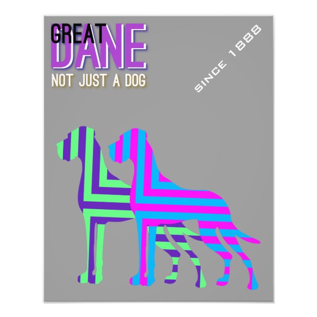 Great Dane Poster (Vorne)