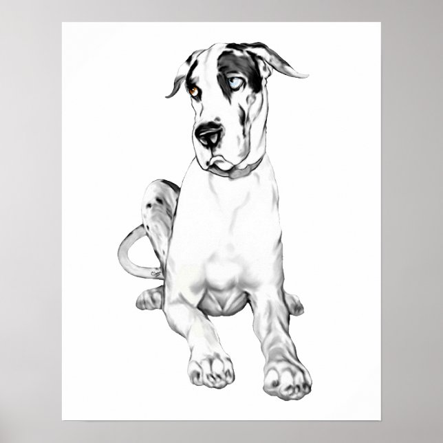 Great Dane Pouting Harlequin Poster (Vorne)