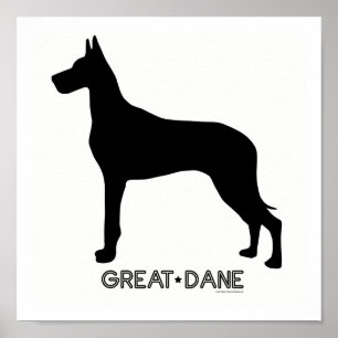 Great Dane Print Poster