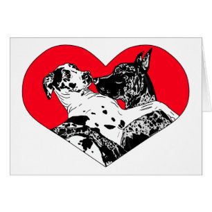 Great Dane Puppy Liebe