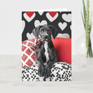 Great Dane Puppy Valentine Card Dankeskarte