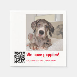 Great Dane Puppy zum Verkauf Serviette