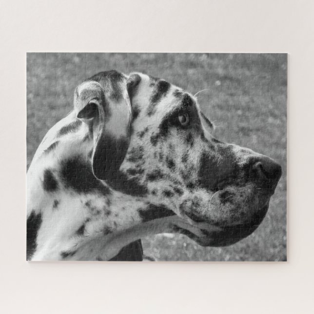 GREAT DANE PUZZLE (Horizontal)