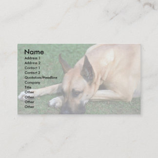 Great Dane-Ruhe Visitenkarte