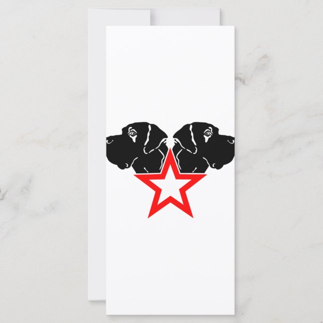 Great Dane Star Head (Vorderseite)