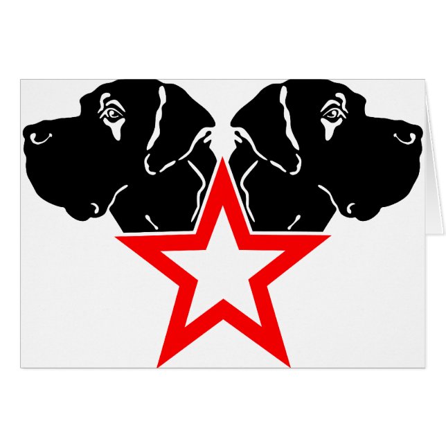 Great Dane Star Head (Vorderseite (Horizontal))