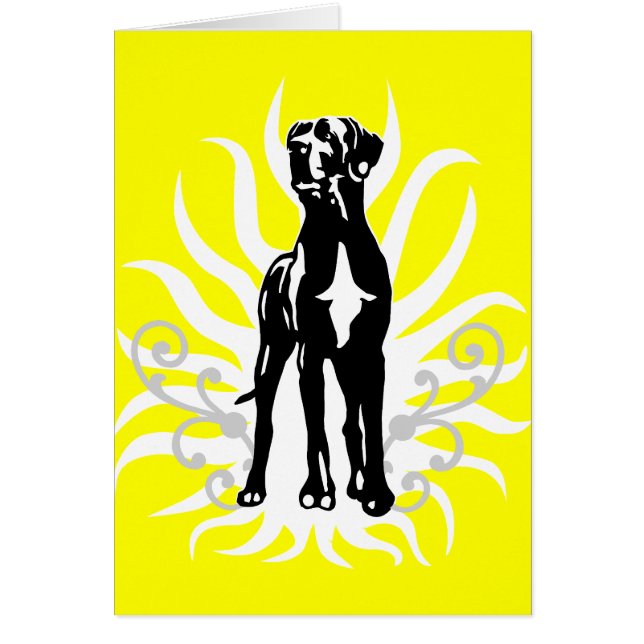 Great Dane Stud (Vorne)