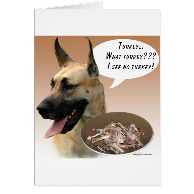 Great Dane Türkei (Vorne)