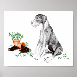 Great Dane Unartiger Welpe MerleB UC Poster