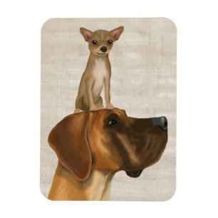 Great Dane und Chihuahua 2 Magnet
