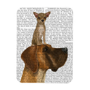 Great Dane und Chihuahua Magnet
