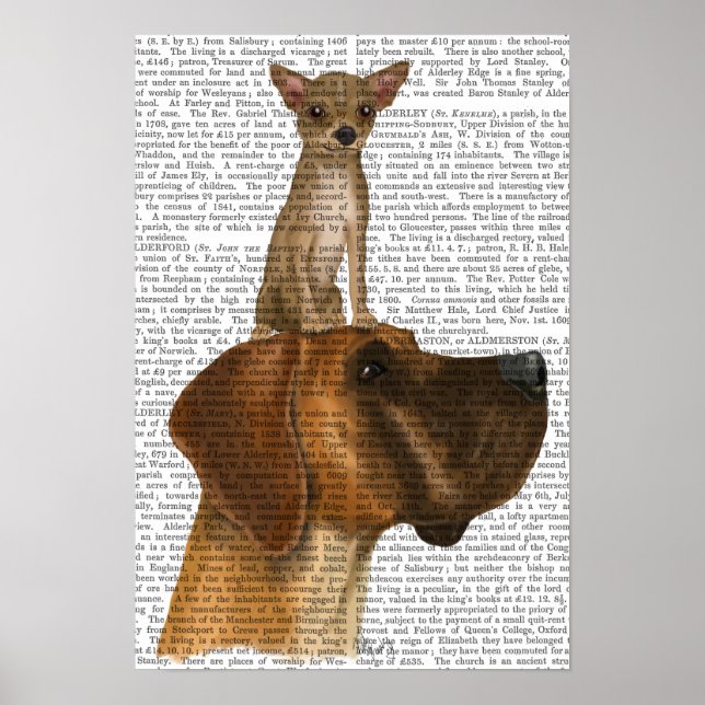 Great Dane und Chihuahua Poster (Vorne)
