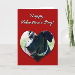 Great Dane Valentines Day Card Feiertagskarte