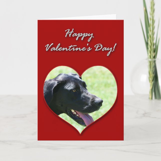 Great Dane Valentinstag Card Feiertagskarte (Vorderseite)
