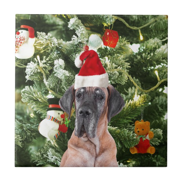 Great Dane w Christmas Tree Geschenkboxen Weihnach Fliese (Vorderseite)