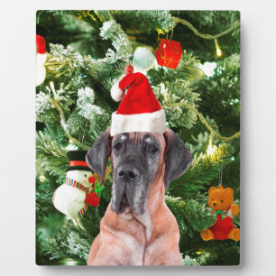 Great Dane w Christmas Tree Geschenkboxen Weihnach Fotoplatte