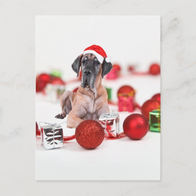 Great Dane Weihnachten (Vorderseite)