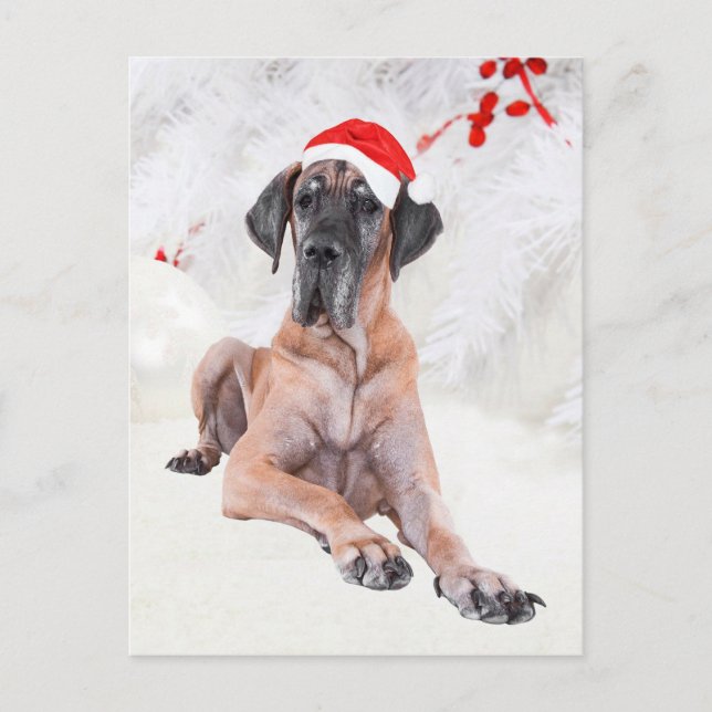 Great Dane Weihnachten (Vorderseite)