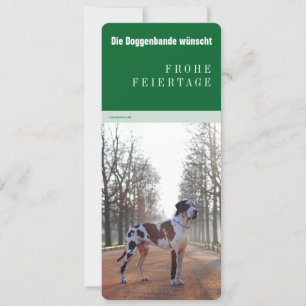 Great Dane Weihnachten