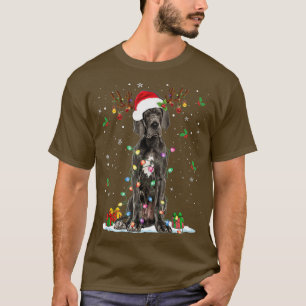 Great Dane Weihnachts-Weihnachtsmannmütze Fairy Li T-Shirt