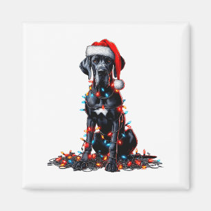 Great Dane Weihnachtsbeleuchtung Hunde Liebhaber X Magnet