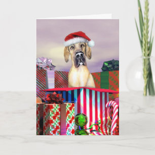 Great Dane Weihnachtsüberraschung Fawn UC Feiertagskarte