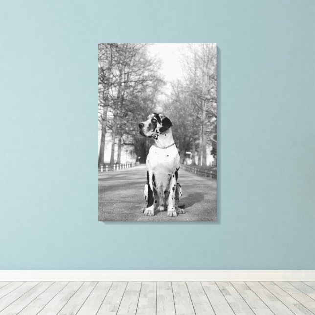 Great Dane Wrapped Canvas Leinwanddruck (Insitu (Holzboden))
