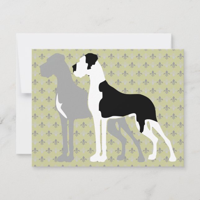 Great Danes Blue Boston (Vorderseite)