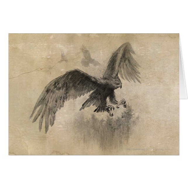 Great Eagles Sketch (Vorderseite (Horizontal))