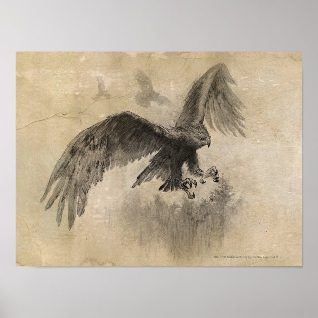 Great Eagles Sketch Poster (Vorne)